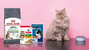 Pet Food
